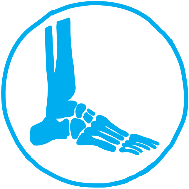 Rheumatology and Bone Research