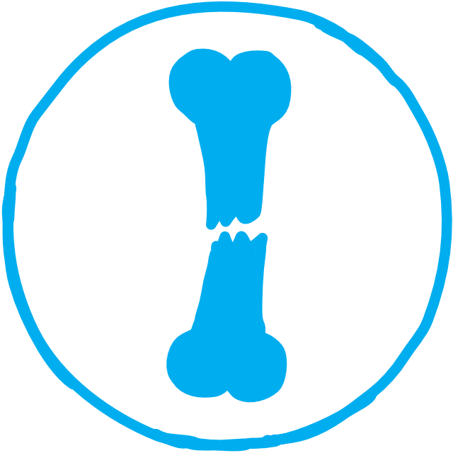 Osteoporosis Assessment